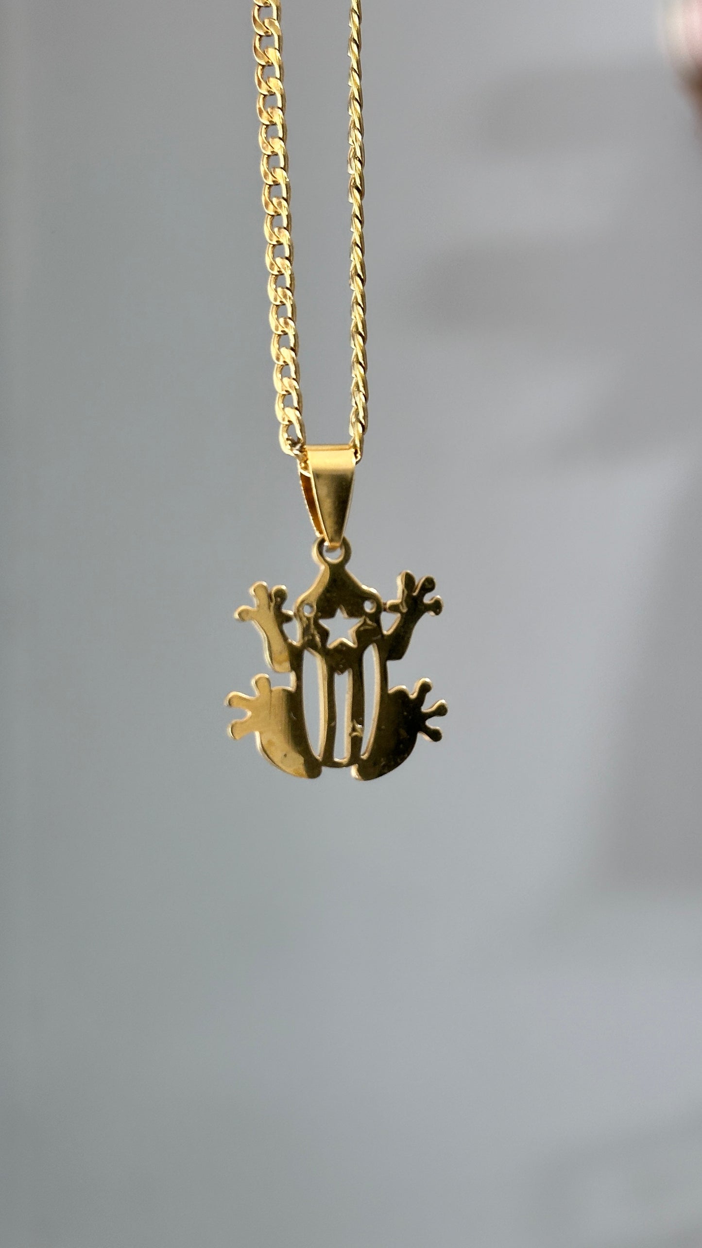 Coqui Boricua Necklace